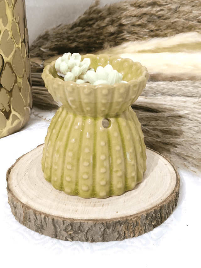 Brûle parfum grand cactus 