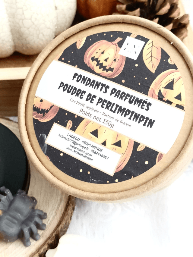 Ensemble brûle parfum chaudron et fondants parfumés halloween 