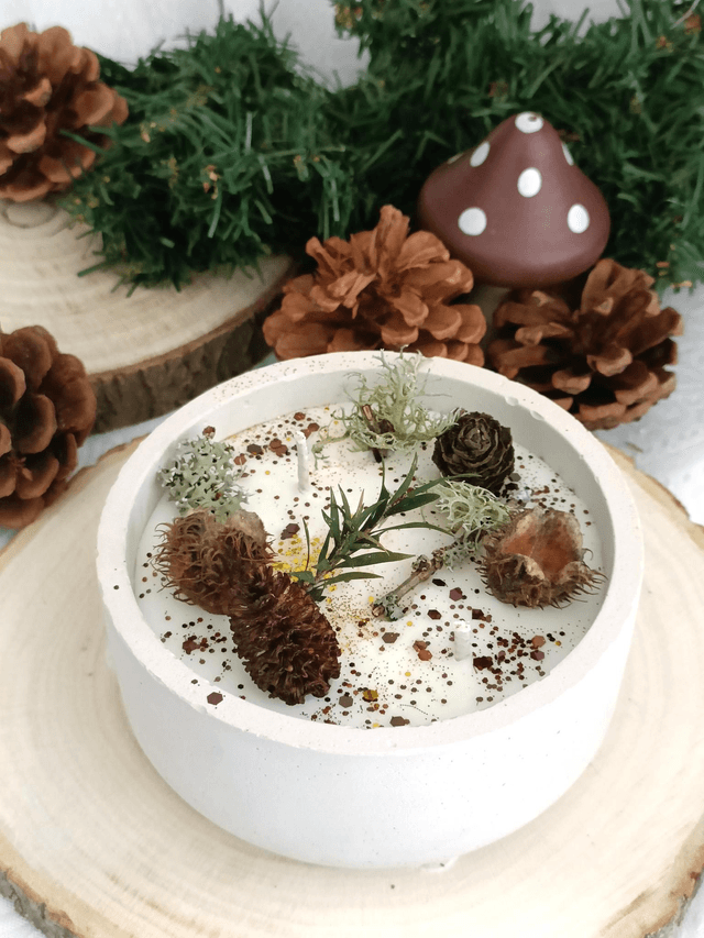 Bougie thème balade en forêt