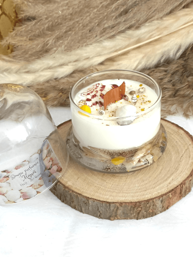 Bougie sous cloche coquillages