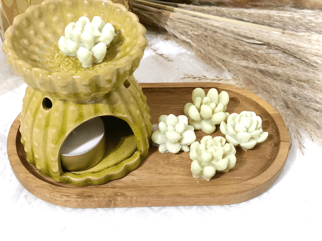 Brûle parfum grand cactus 