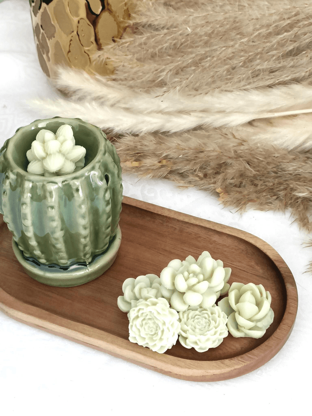 Fondants parfumés Cactus