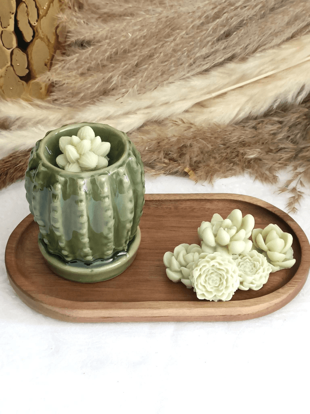 Brûle parfum cactus 