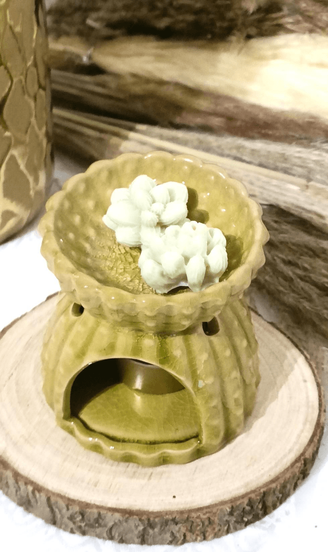 Brûle parfum grand cactus 