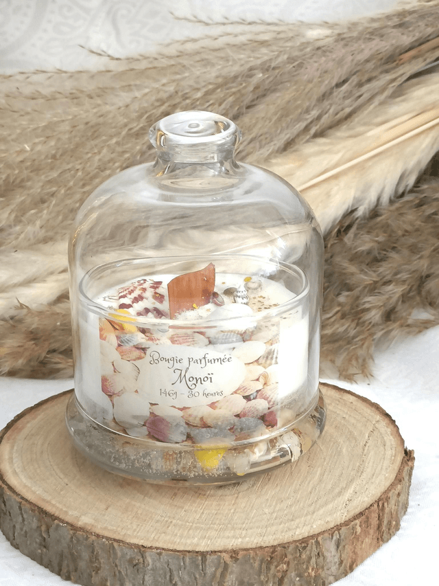 Bougie sous cloche coquillages